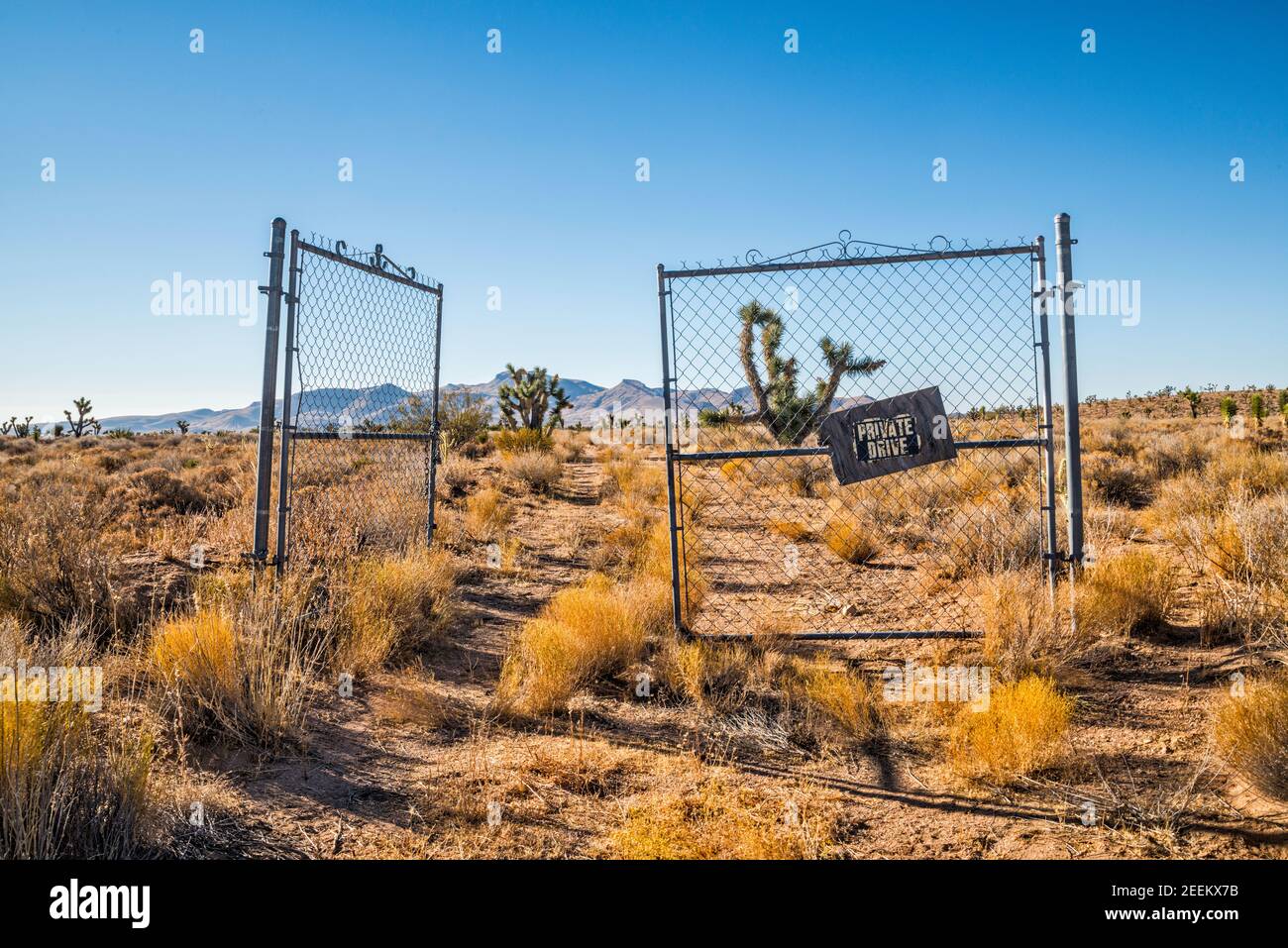 Porte de ranch à maillons de chaîne à Cedar Canyon Road, réserve nationale de Mojave, Californie, États-Unis Banque D'Images