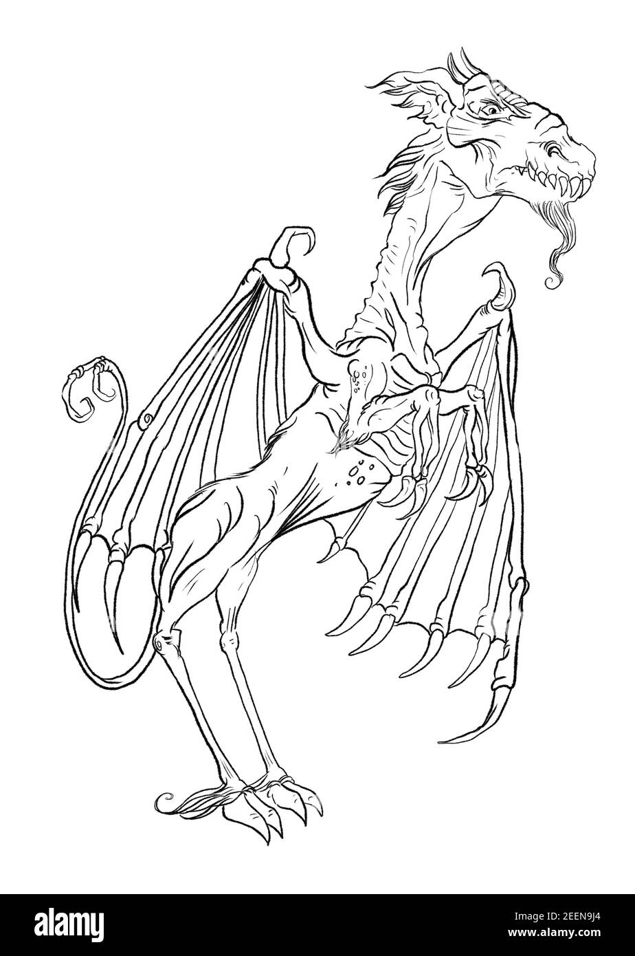 illustration jersey devil Banque D'Images