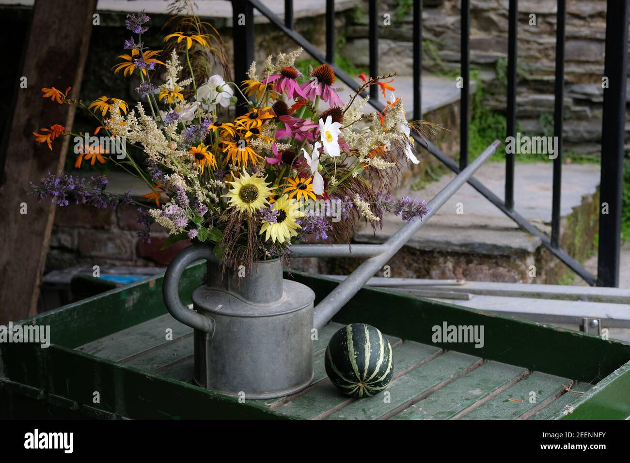 Fleurs de jardin dans un arrosoir. Banque D'Images