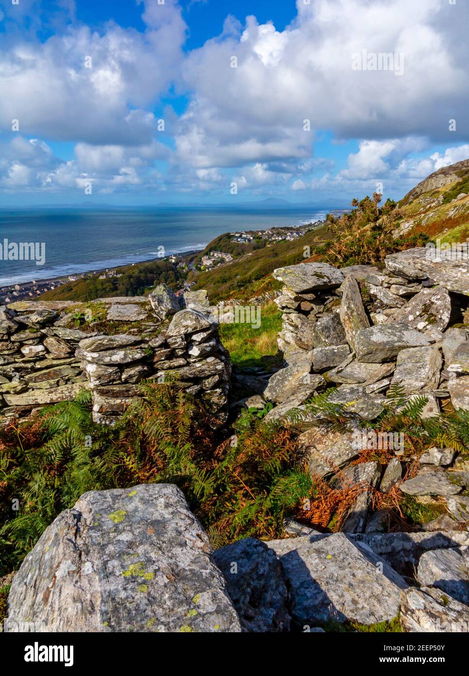 Mur de pierre de Drystone dans le paysage de montagne à Dinas oleu près de Barmouth dans le nord-ouest du pays de Galles du Royaume-Uni près de la populaire promenade Panorama. Banque D'Images