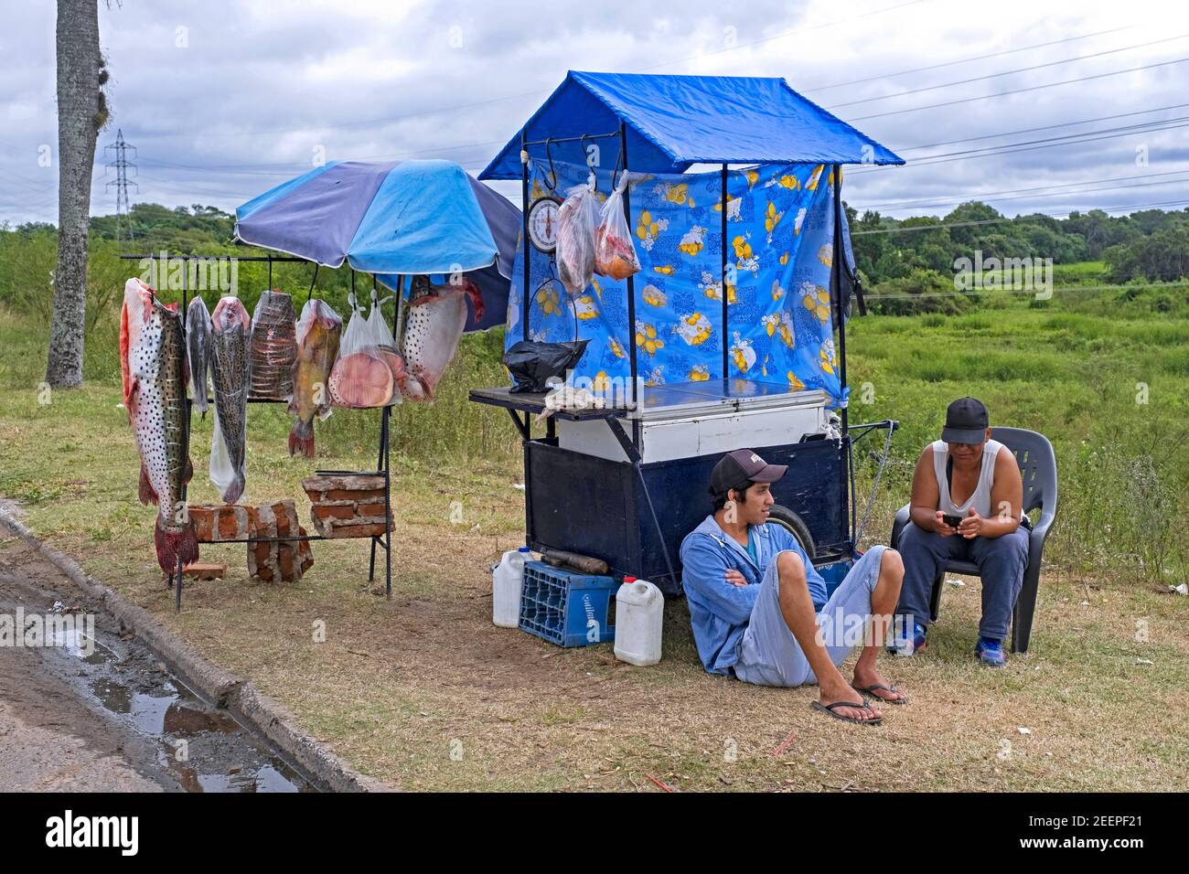 Vendeurs de rue / pêcheurs au stand de poissons de bord de route vendant des poissons d'eau douce du Rio Paraná / Parana River près de Resistencia, Chaco, Argentine. Banque D'Images