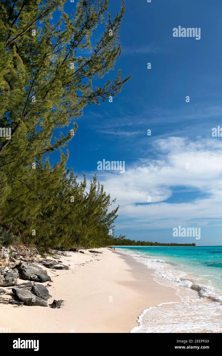 Une femme marchant le long d'une plage près de la région d'Orange Creek de Cat Island, Bahamas. Banque D'Images