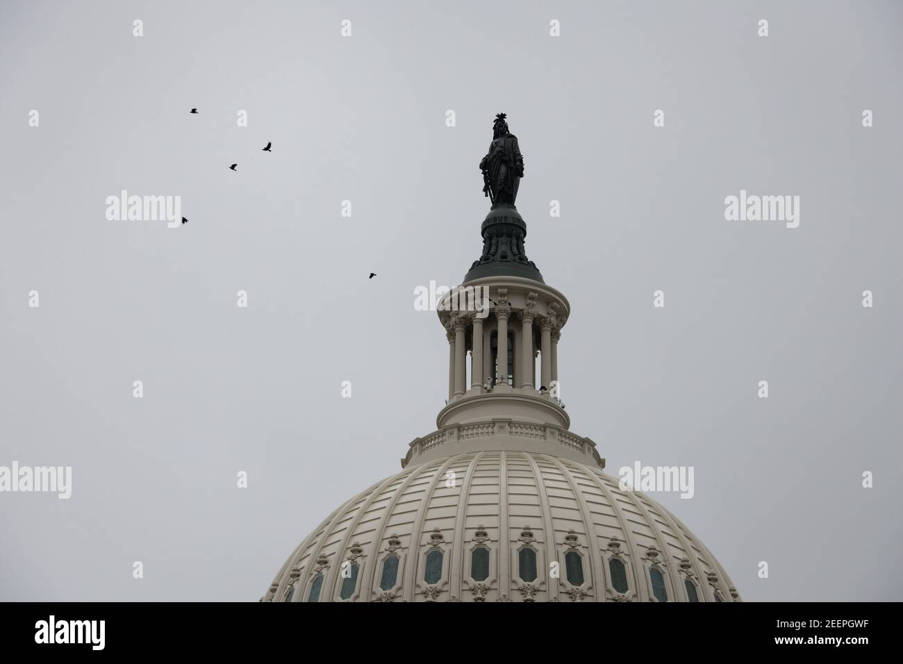 Washington, États-Unis. 16 février 2021. Des oiseaux volent autour du Capitole des États-Unis à Washington, DC, le mardi 16 février 2021. Après le vote d'acquittement de la semaine précédente dans le deuxième procès de destitution du Sénat de Donald Trump, plusieurs membres républicains du Congrès qui ont voté avec les démocrates ont été punis par leurs partis locaux. (Graeme Sloan/Sipa USA) Credit: SIPA USA/Alay Live News Banque D'Images