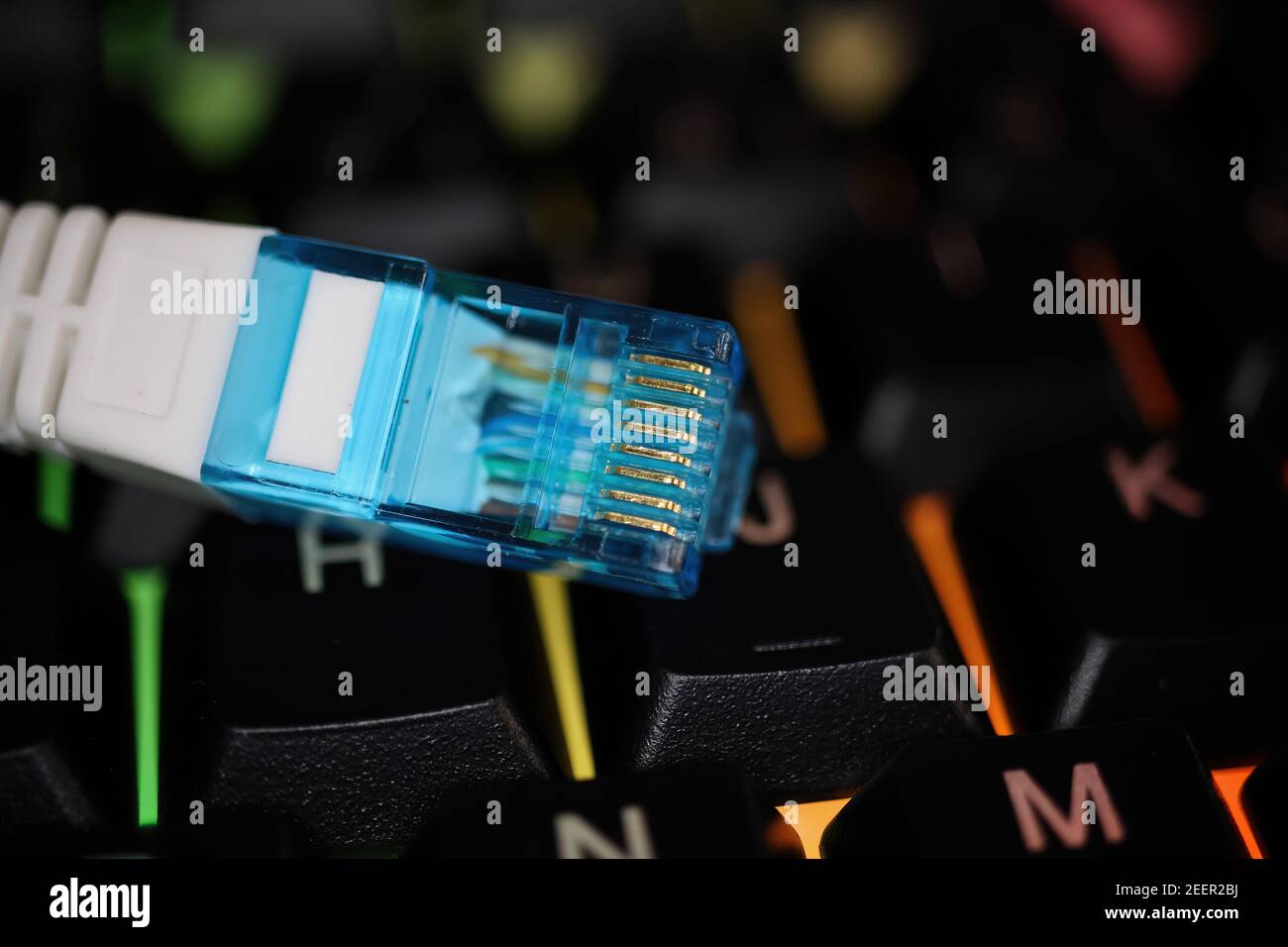 Makro gros plan du câble de connecteur réseau bleu blanc isolé clavier d'ordinateur éclairé Banque D'Images