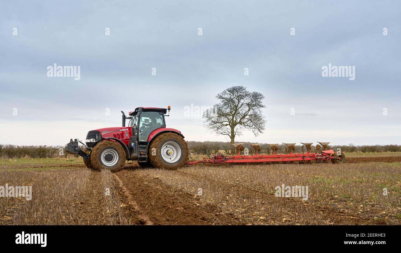 Le tracteur case puma 200 labourage dans le champ de chaume avec six Charrue Kverneland semi-portée en sillon Banque D'Images
