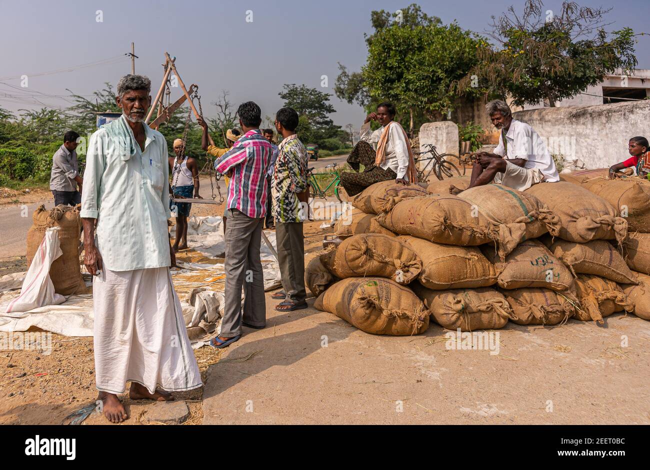 Ayodhya, Karnataka, Inde - 9 novembre 2013 : une pile de sacs de jute bruns avec du riz fraîchement récolté et pesé, tout en pesant sur les balances, est toujours en cours Banque D'Images