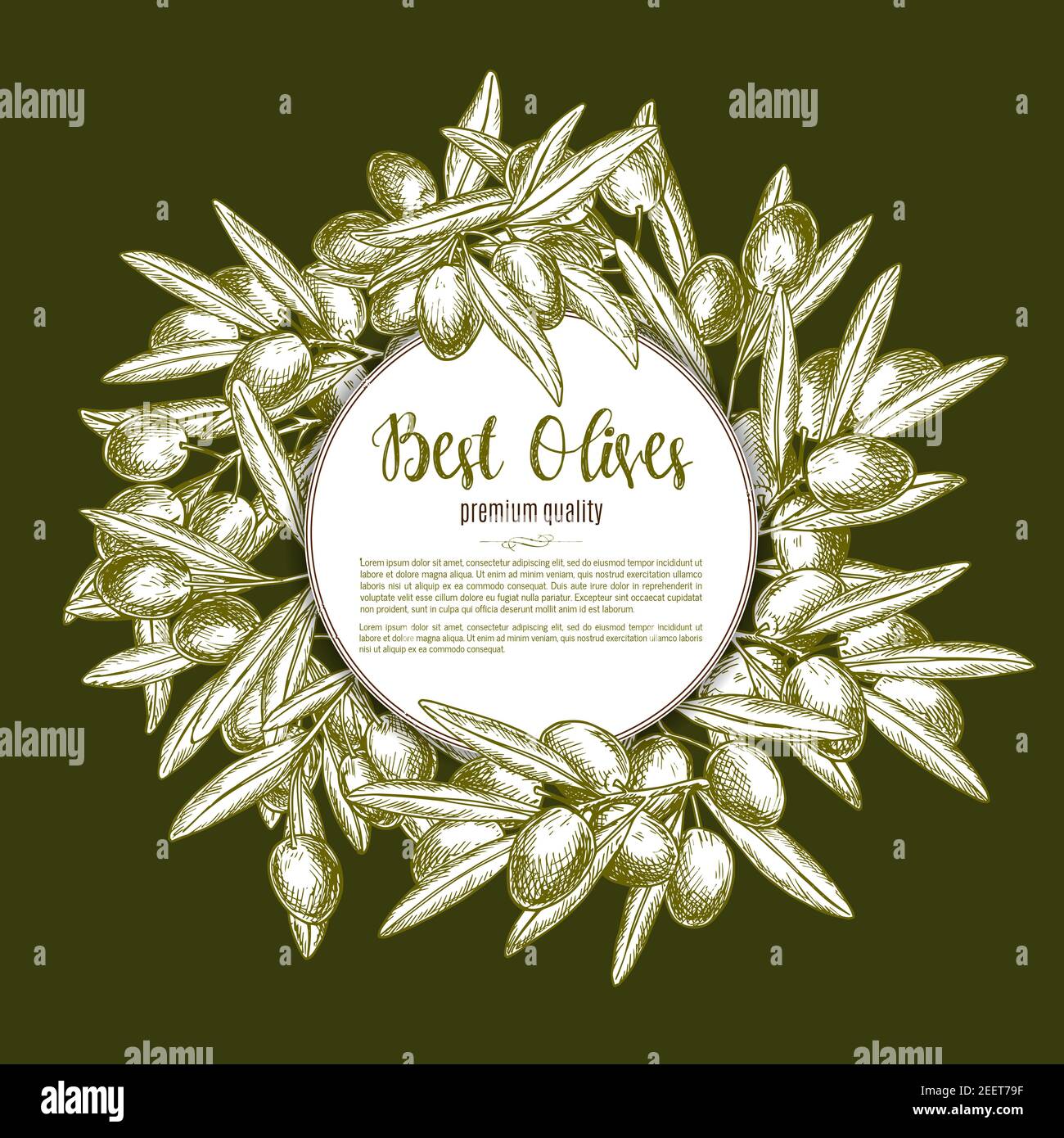 Affiche verte à croquis olive. Branches d'olivier aux fruits et feuilles placées autour de l'insigne avec espace de copie pour votre texte. Couronne d'olive pour bouteille d'huile et Illustration de Vecteur