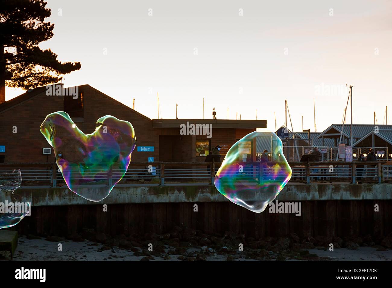 WA19185-00...WASHINGTON - des bulles de savon géantes flottent sur la plage à côté de la marina d'Edmonds au coucher du soleil, sur le Puget Sound. Banque D'Images