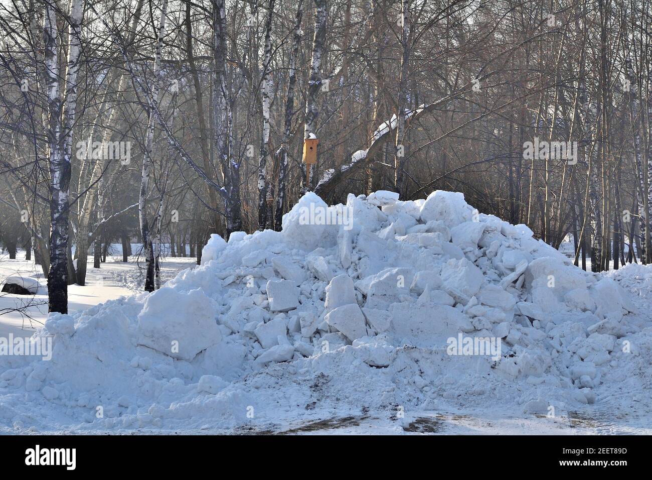 Snowdrift dans le parc de la ville. Les services municipaux communaux nettoient la neige sur les routes et les allées du parc de la ville. Forte dérive de neige après une chute de neige ou un blizzard Banque D'Images