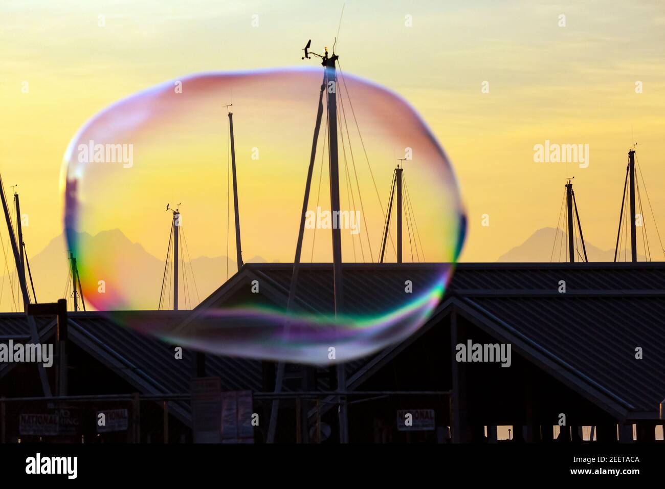 WA19202-00...WASHINGTON - UNE bulle de savon géante qui passe au-dessus de la marina d'Edmonds au coucher du soleil. Banque D'Images