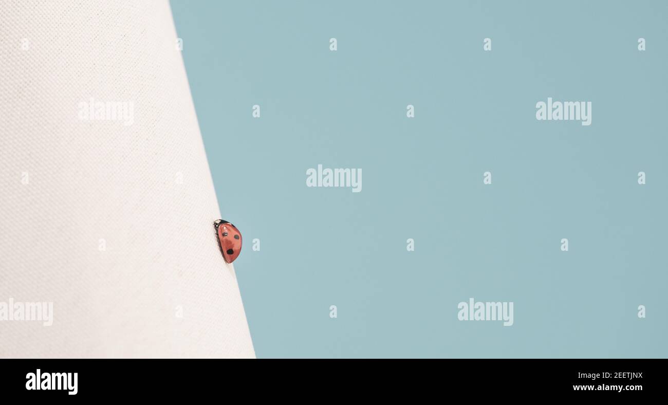 Rouge coccinelle grimpant UN mur blanc avec l'océan bleu Arrière-plan Breeze Banque D'Images