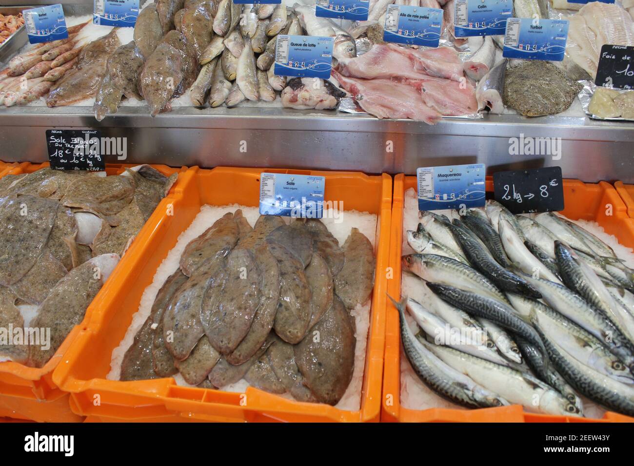 des boîtes avec de la sole fraîche et du hareng dans un grand marché stall à un marché de poissons dans le port et le côte française en normandie en été Banque D'Images