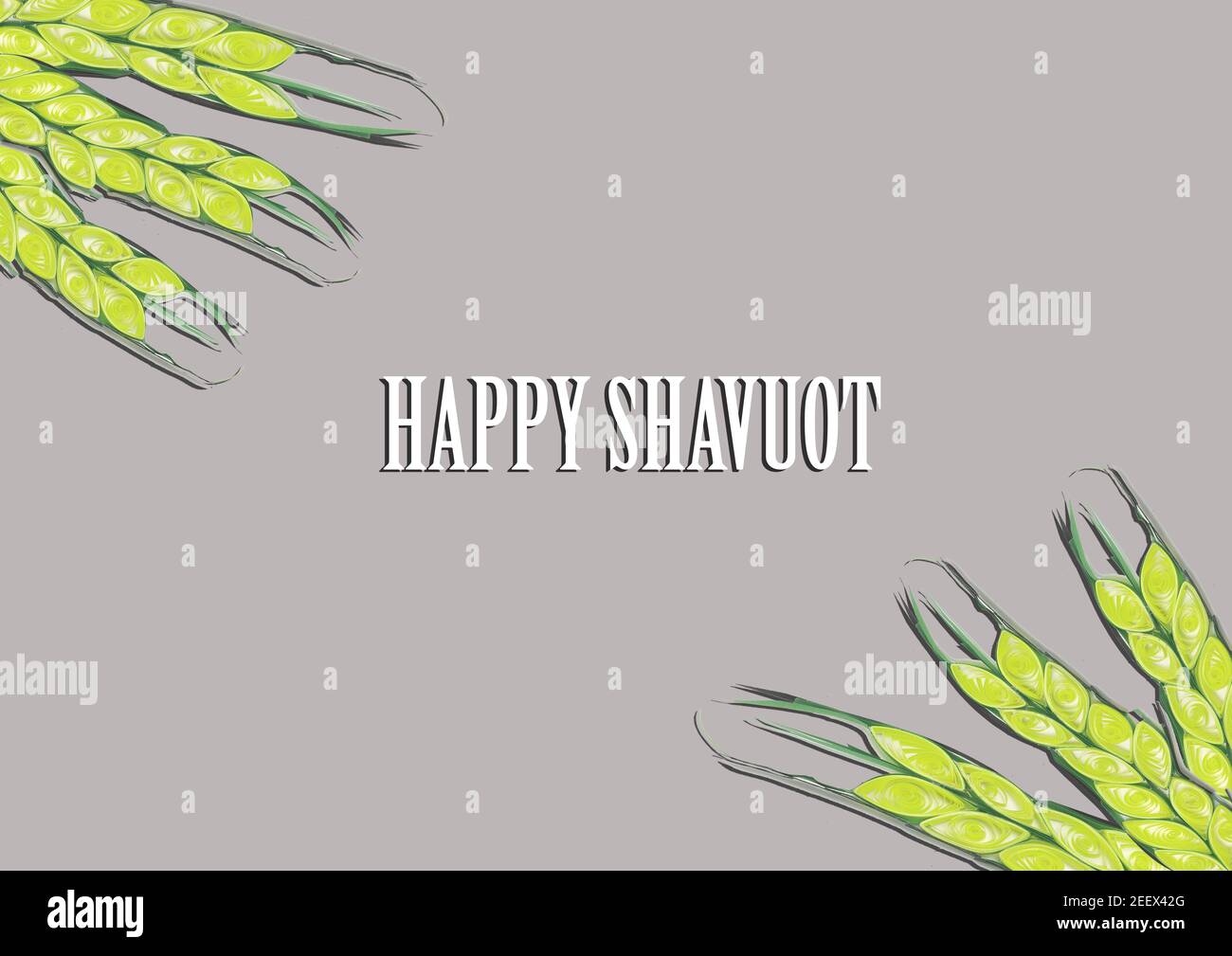 Happy Shavuot les spicules des fêtes juives avec espace de copie Banque D'Images