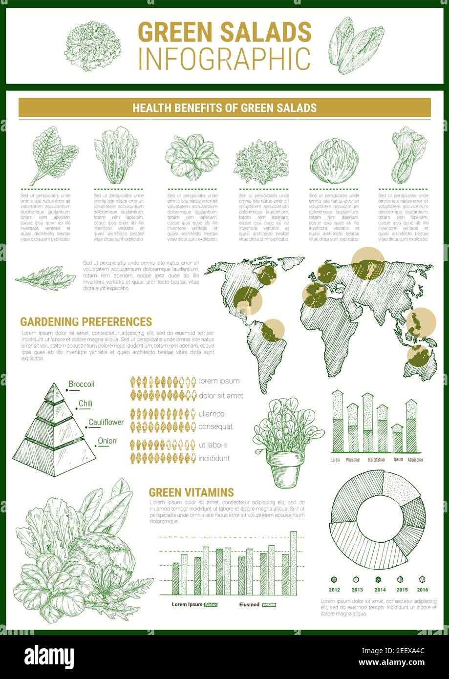 Modèle d'infographie sur les salades vertes. Tableau des avantages pour la santé des légumes en feuilles et graphique de la teneur en vitamines, carte des préférences de culture et diagramme pyramidal WIT Illustration de Vecteur