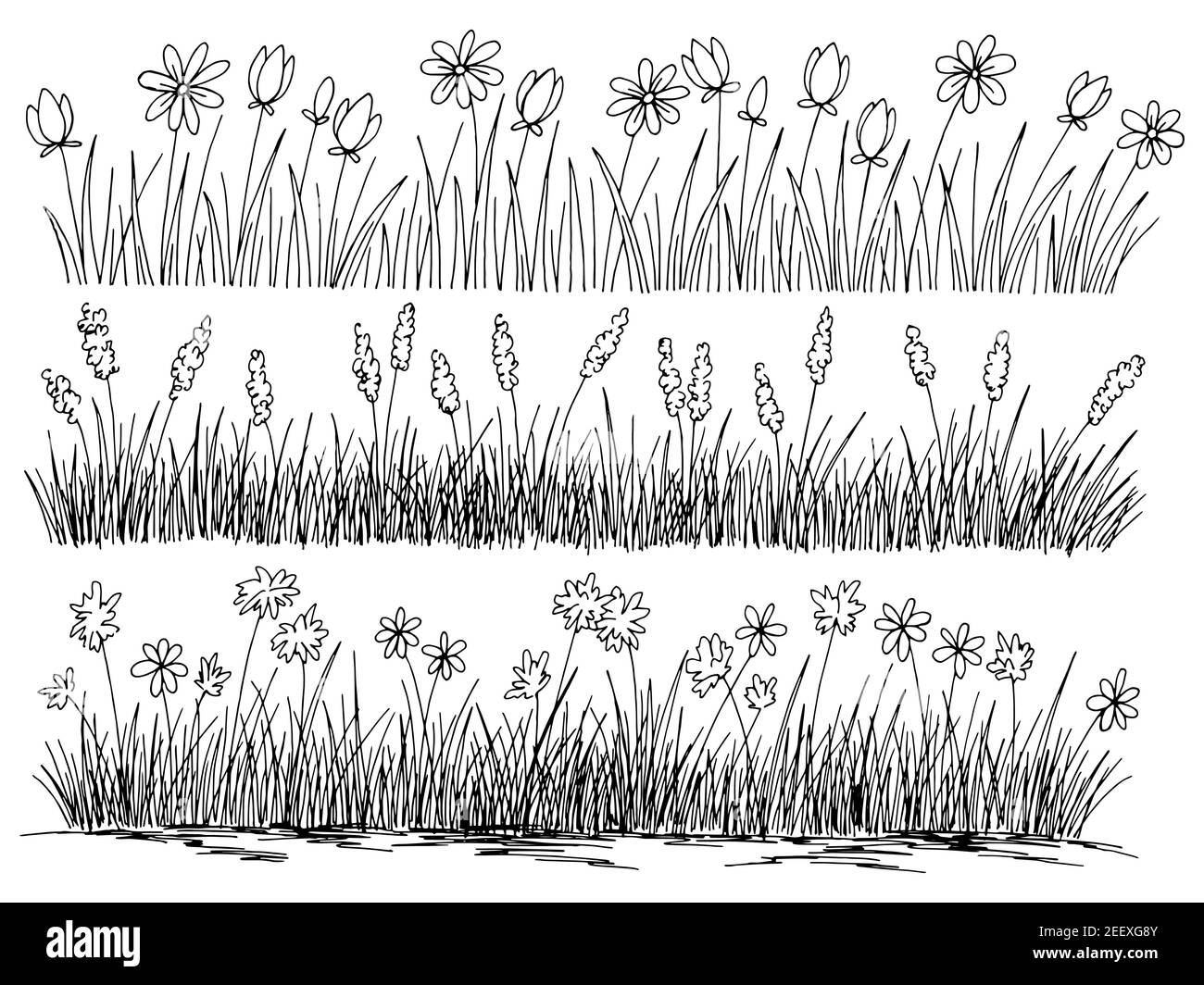 Ensemble de fleurs d'herbe graphique noir blanc isolé esquisse vecteur d'illustration Illustration de Vecteur