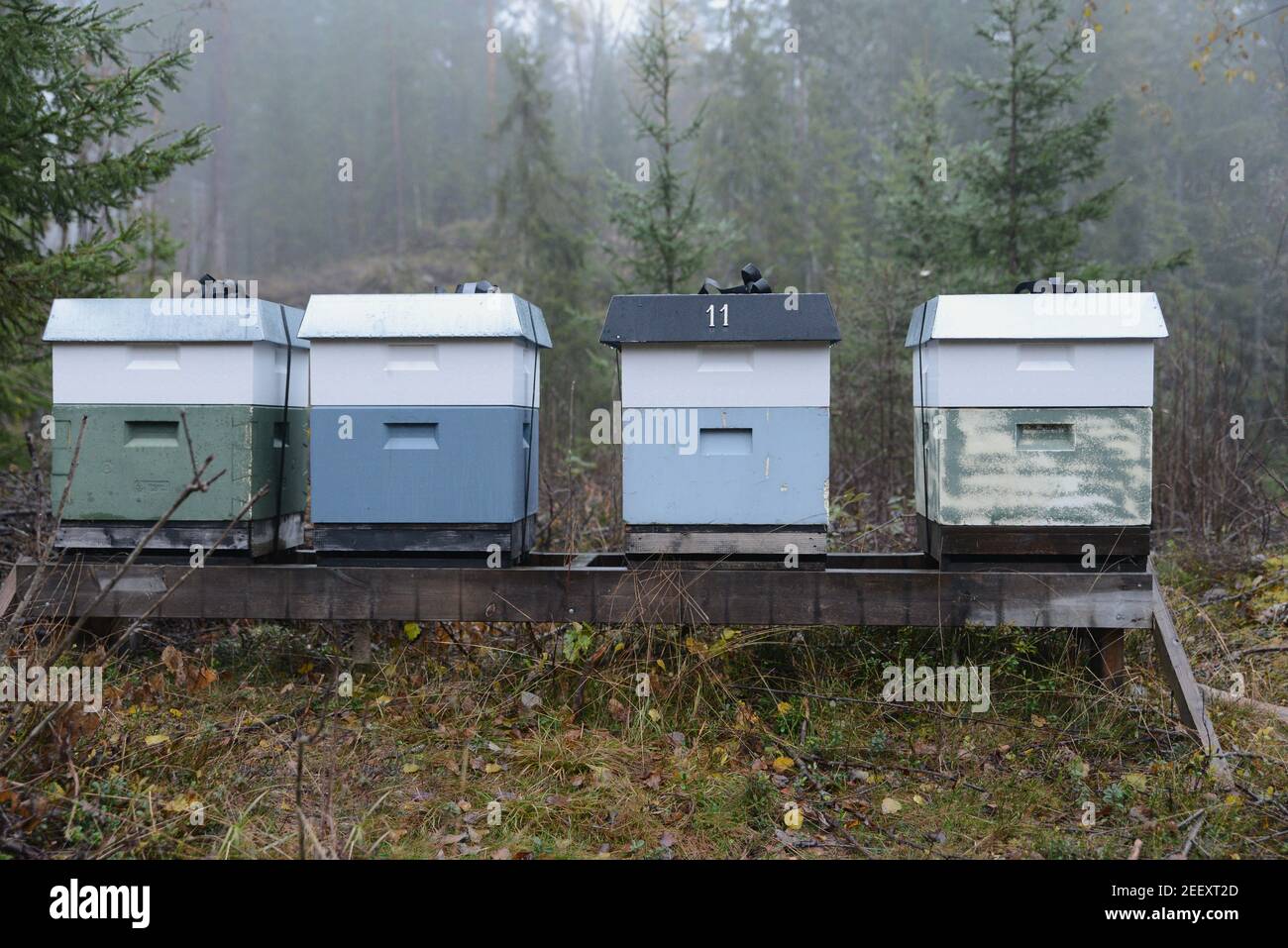 Ruches en Norvège, automne hiver. Banque D'Images