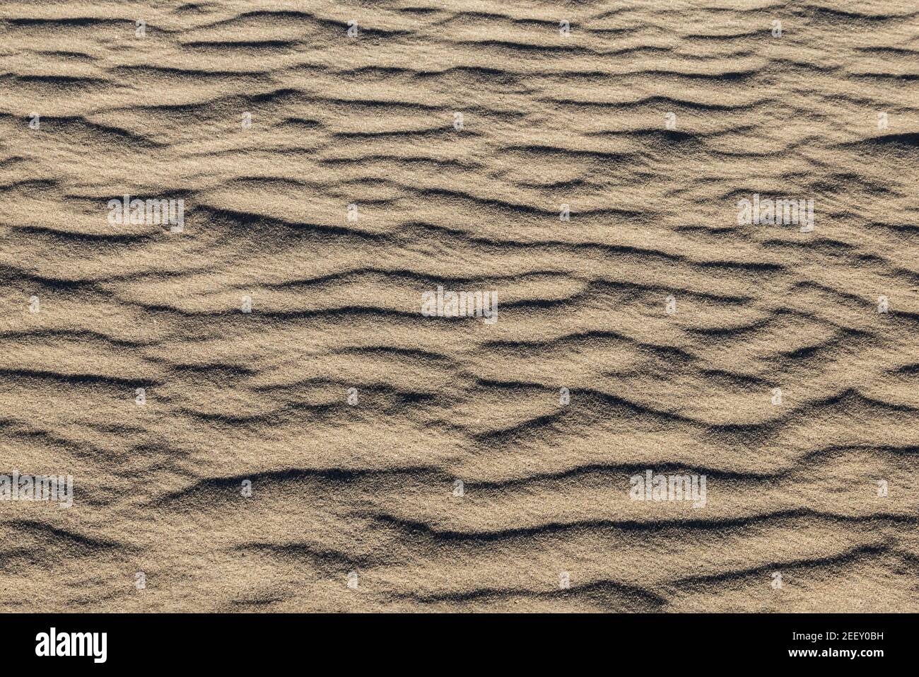 Motifs dans le sable créé par le vent, Mesquite Dunes, Vallée de la mort, Californie. Banque D'Images