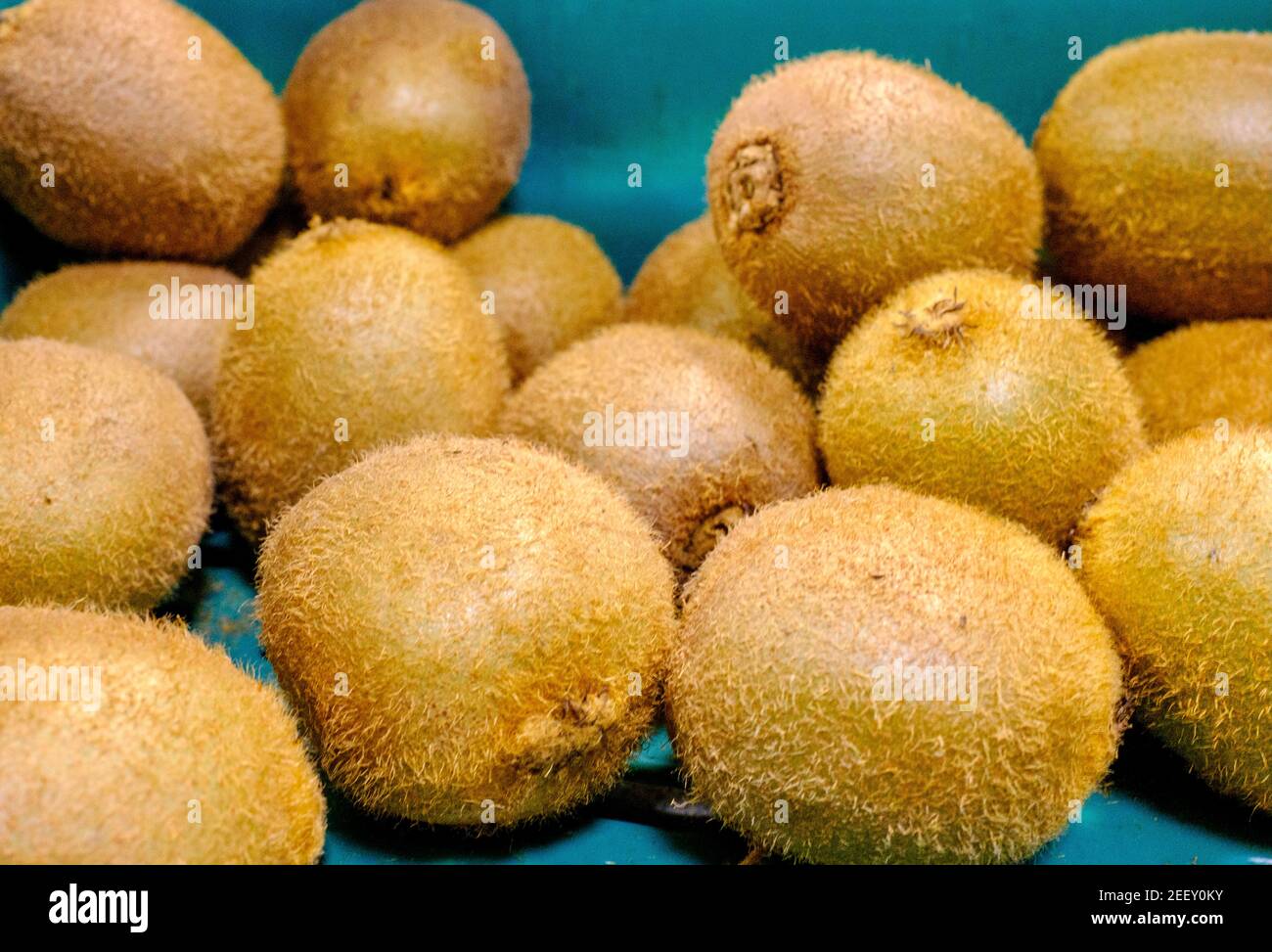 Une caisse de kiwis (Actinidia Deliciosa) dans un greengrocer. Kiiwifruit, ou groseille de Chine, un fruit de baies comestibles poilu. Banque D'Images