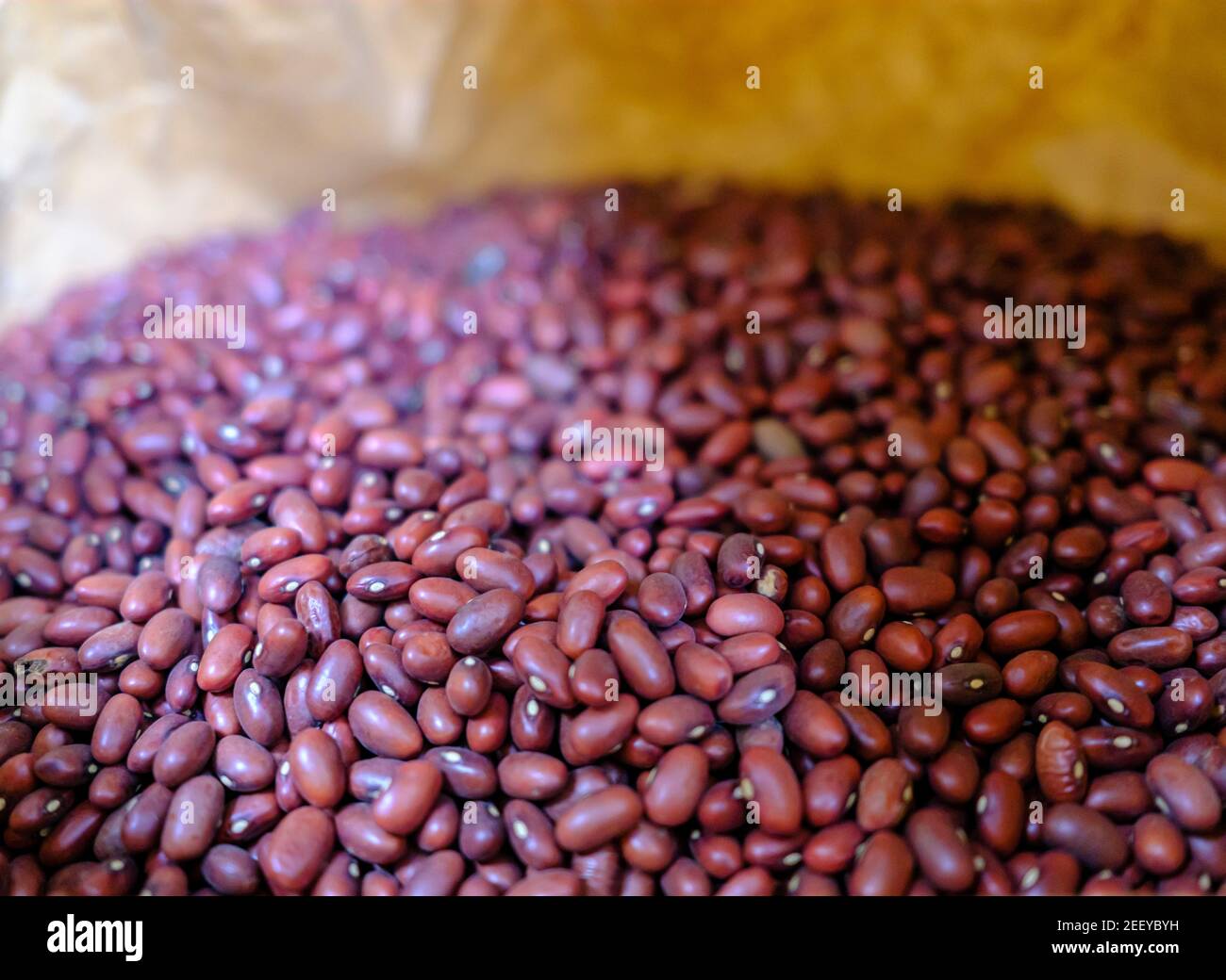 Un sac de haricots Adzuki séchés (Vigna angularis) pour un magasin de vente en vrac sans plastique, sans déchets. Banque D'Images