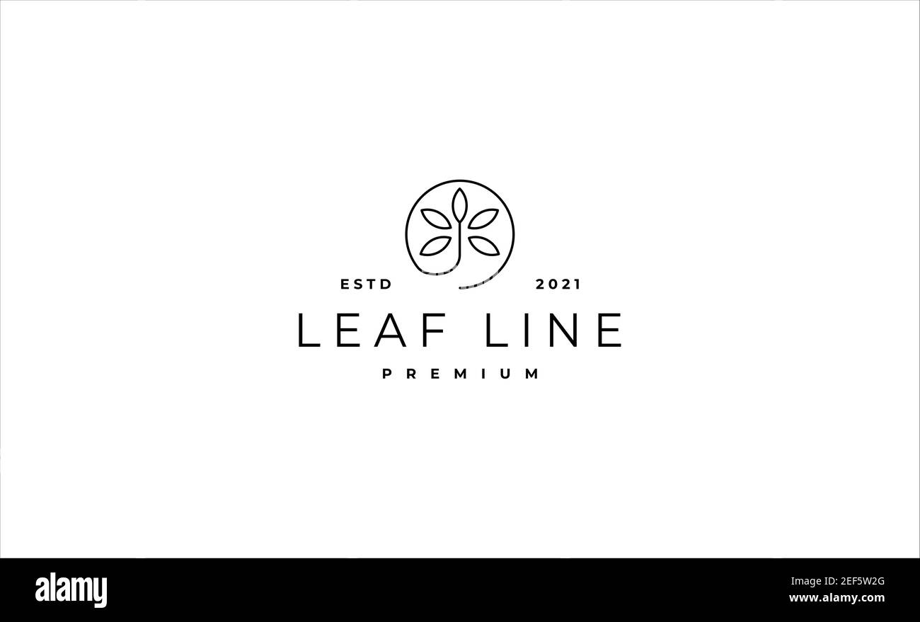Illustration Leaf logo Line minimaliste Vector Design Banque D'Images