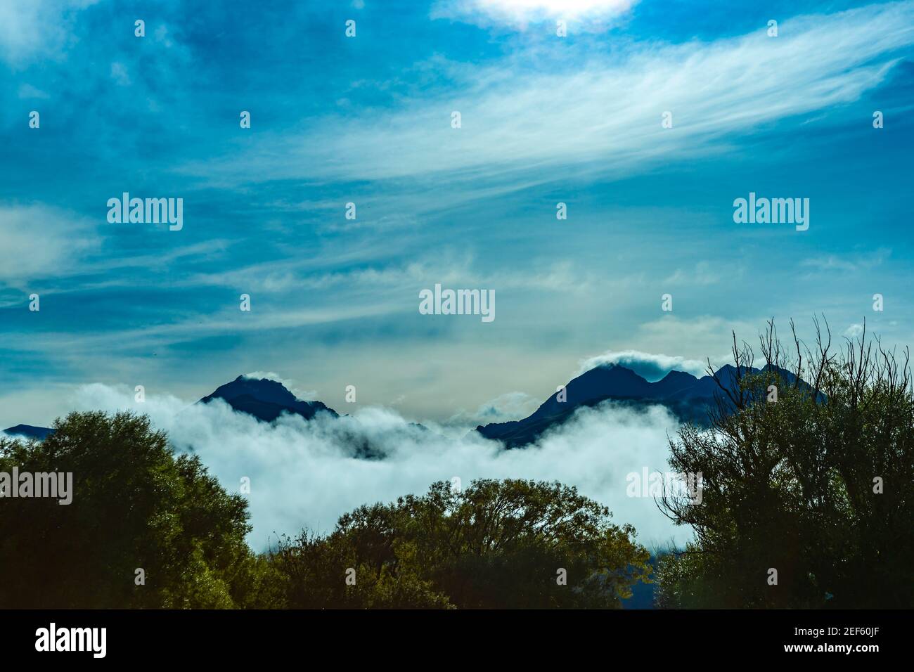 Nouvelle-Zélande scène à plusieurs niveaux de montagnes de pays haut et de brousse enveloppée par le nuage bas avec le nuage vent-souffle au-dessus de . Banque D'Images