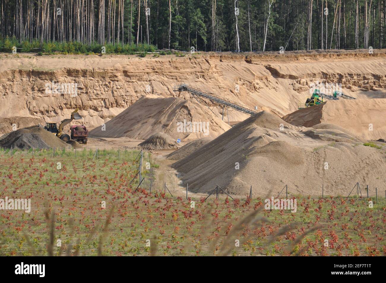 Extraction de sable dans un bac à sable, République tchèque, 2021. (Photo CTK/Rostislav Kalousek) Banque D'Images