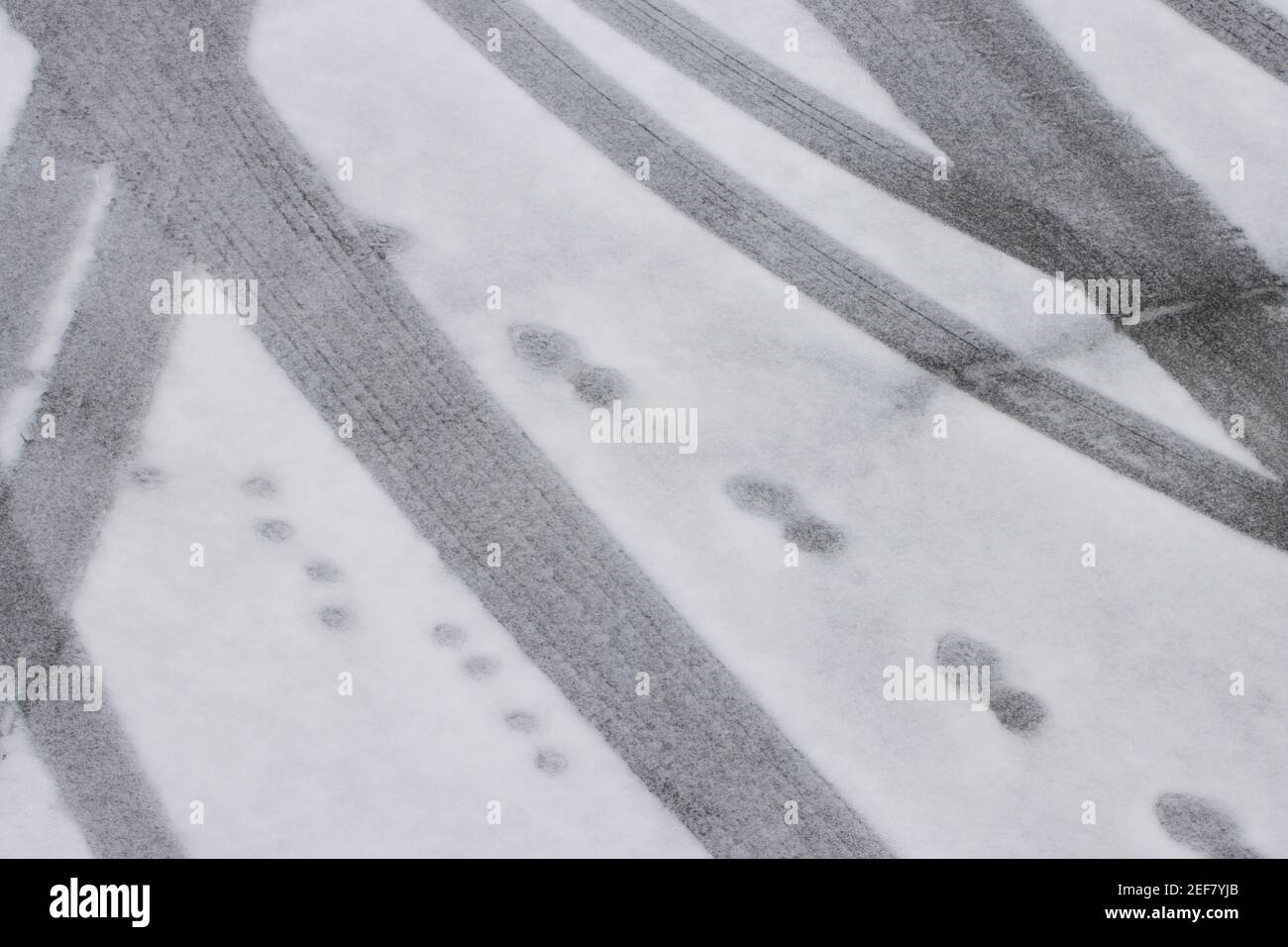 Traces de voiture et empreintes de pas dans la neige. Banque D'Images