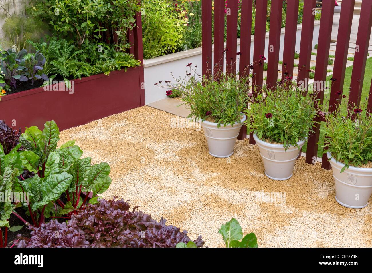 Petits lits surélevés modernes dans un jardin potager urbain cultivant de la laitue de blette avec des fleurs dans des récipients de pots sur le chemin de gravier - été - Angleterre Royaume-Uni Banque D'Images