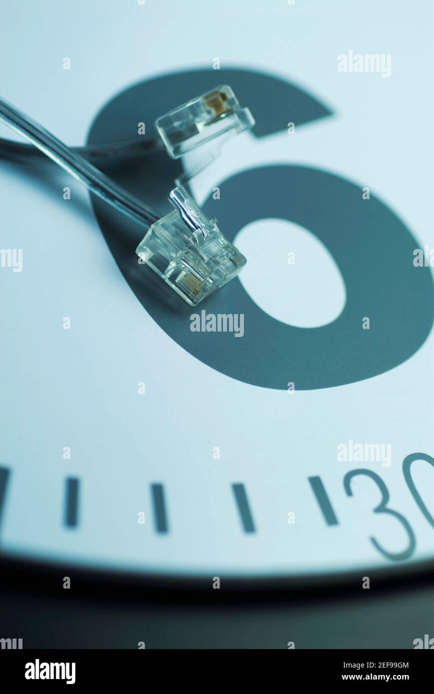 Gros plan d'une fiche de connexion réseau Banque D'Images