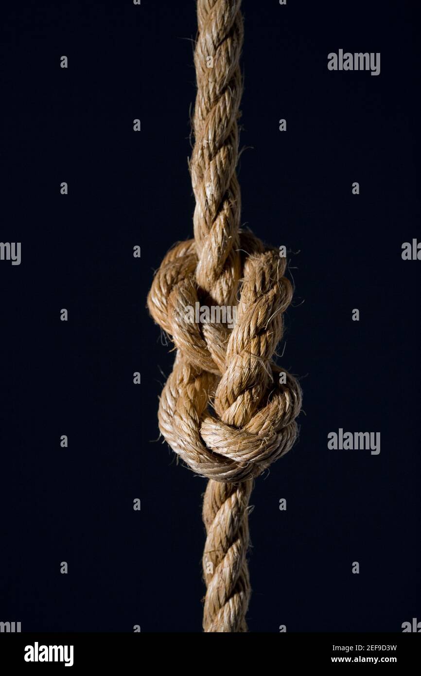 Gros plan d'un nœud sur une corde Banque D'Images