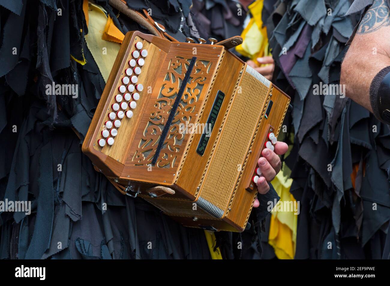 Membre de Mythago Border morris Dancers jouant Serenellini accordéon mélodéon au Wimborne Folk Festival à Wimborne, Dorset, Royaume-Uni en juin Banque D'Images