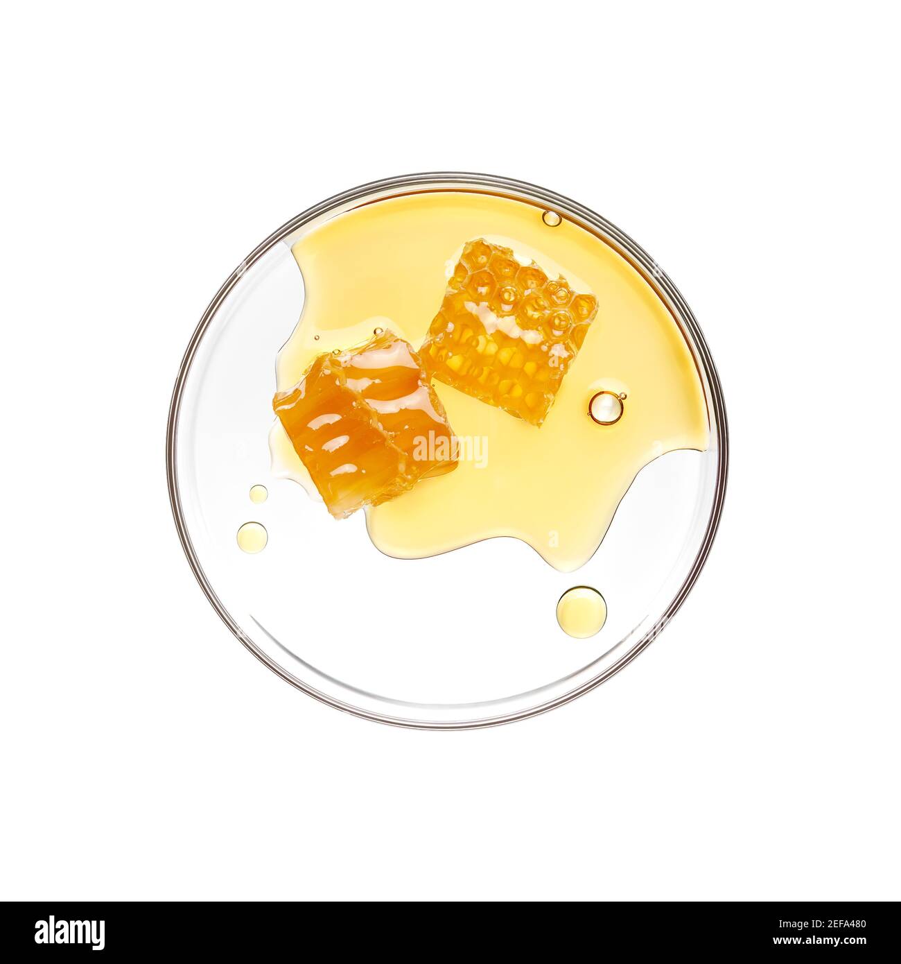 Nid d'abeille avec miel sur plat de pétri sur fond blanc Banque D'Images