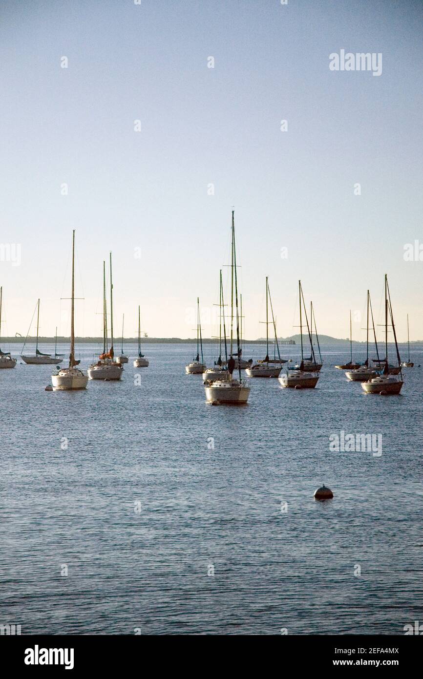 Voiliers ancrés dans la mer, Boston, Massachusetts, Etats-Unis Banque D'Images