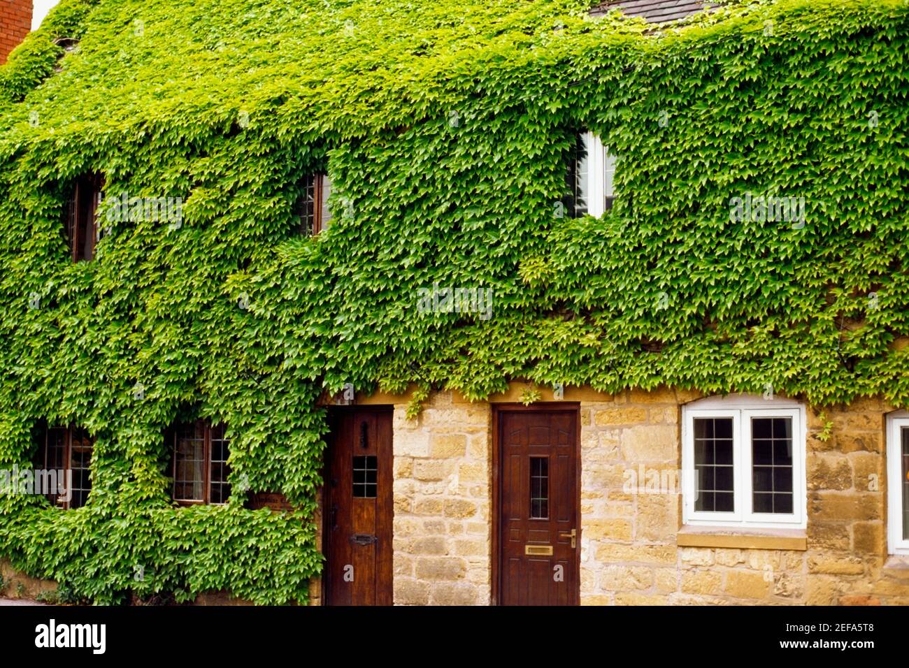 Vue latérale d'une maison couverte de feuillage vert, Broadway, Angleterre Banque D'Images