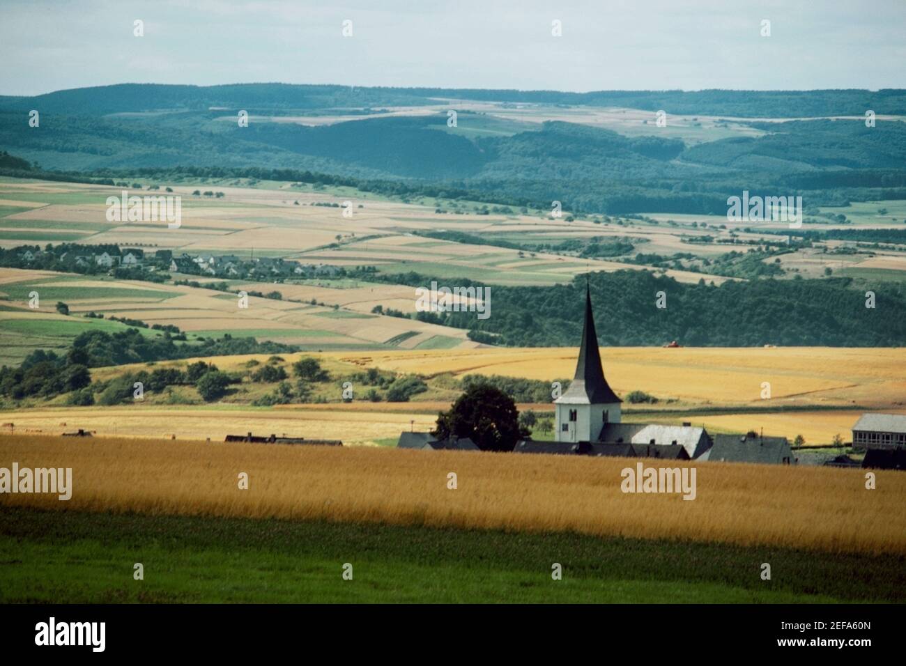 Maisons dans un champ, plaine européenne, Francfort, Allemagne Banque D'Images
