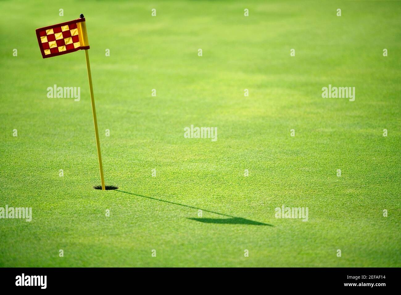 Drapeau de golf dans un parcours de golf Banque D'Images