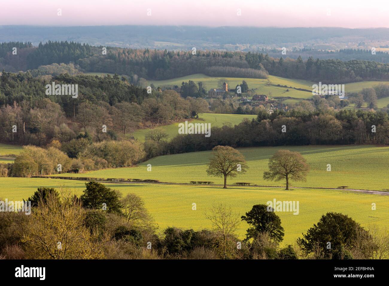 Vues sur les collines de Surrey depuis Newlands Corner le matin ensoleillé de l'hiver, Guildford, Royaume-Uni Banque D'Images