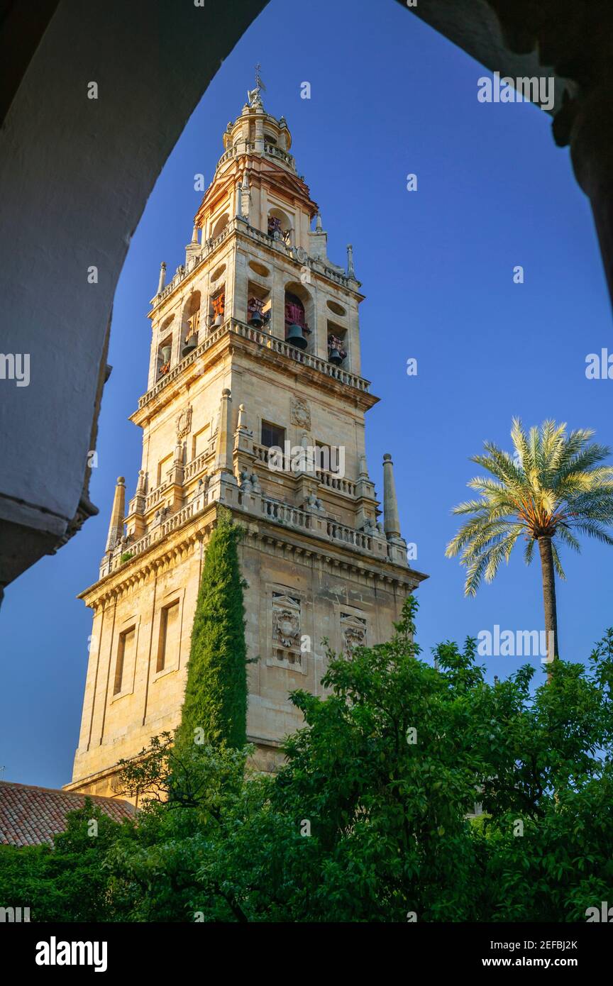 Mosquée et cathédrale de la Mezquita, Cordoue Andalousie Espagne Banque D'Images