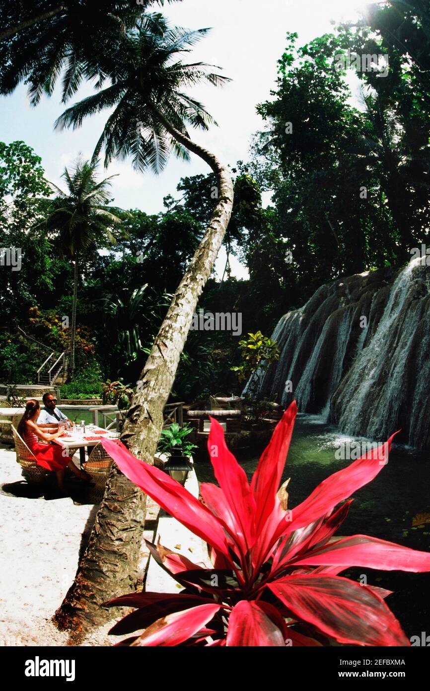 Une femme se détend sous un palmier près d'une chute d'eau, en Jamaïque Banque D'Images