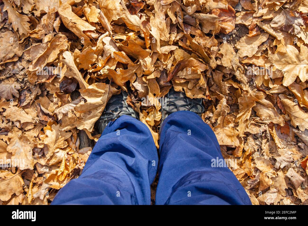 Les pieds en pantalon de survêtement bleu et les baskets noires se tiennent dans le feuillage d'automne Banque D'Images