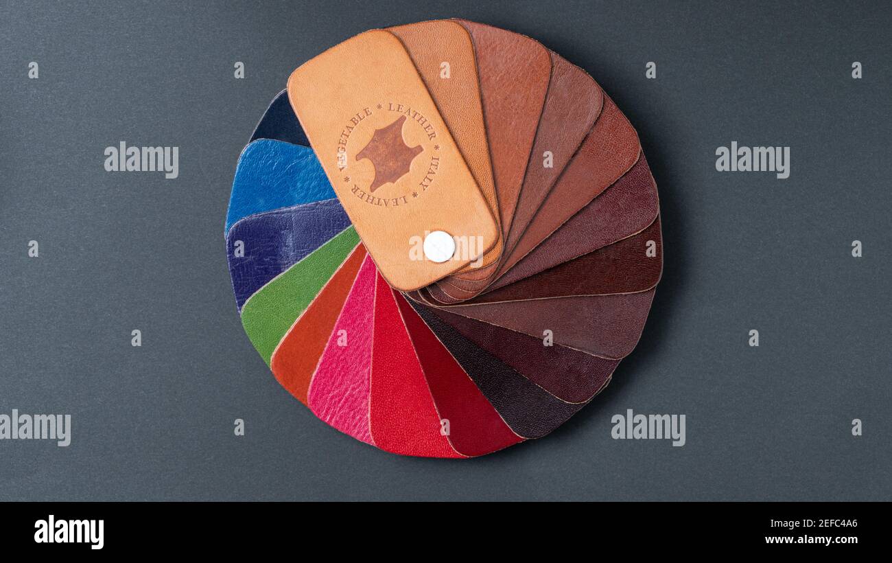 carte d'échantillon de cuir végétal italien de haute qualité avec 18 couleurs différentes (chameau, marron, noir, rouge, rose, vert, bleu marine) sur fond noir. Banque D'Images
