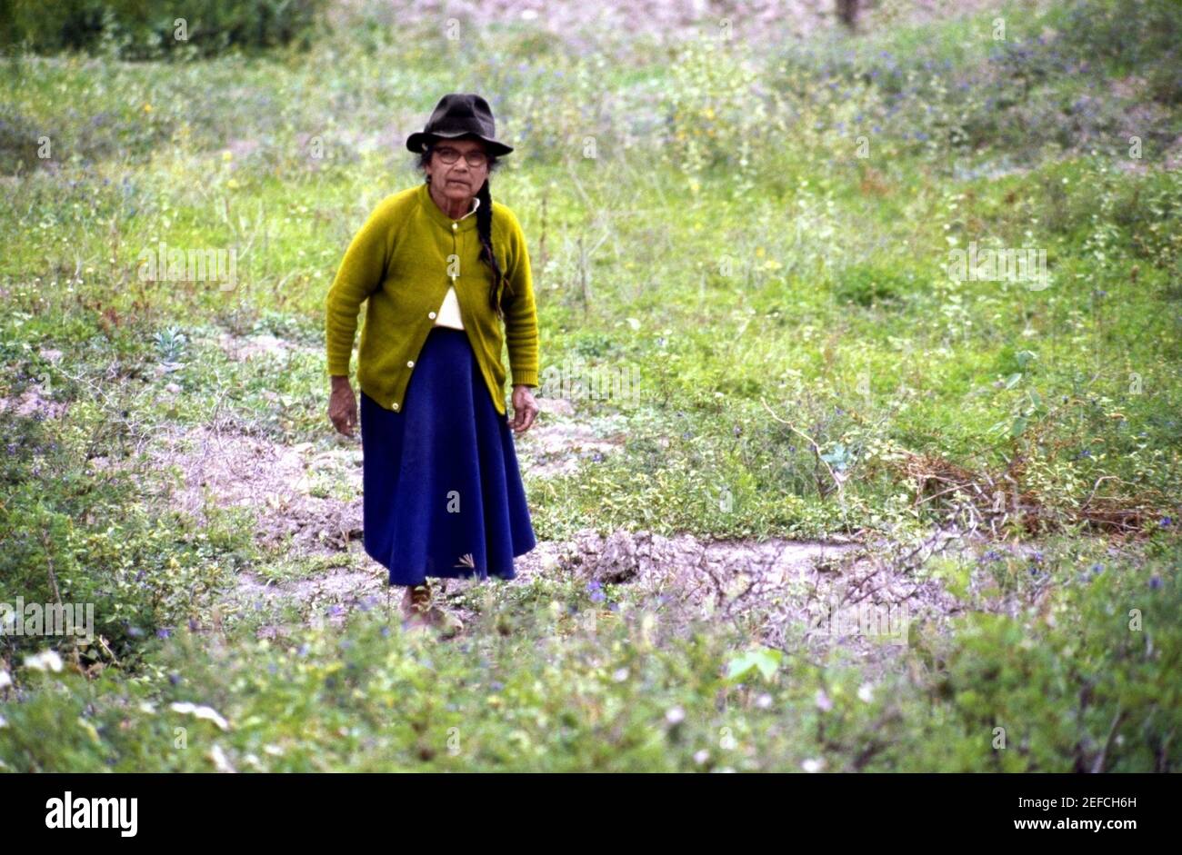 Femme âgée debout dans un champ Banque D'Images