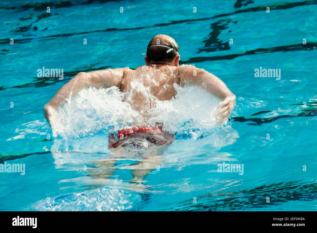 Vue arrière d'un homme de taille moyenne nageant dans un piscine Banque D'Images