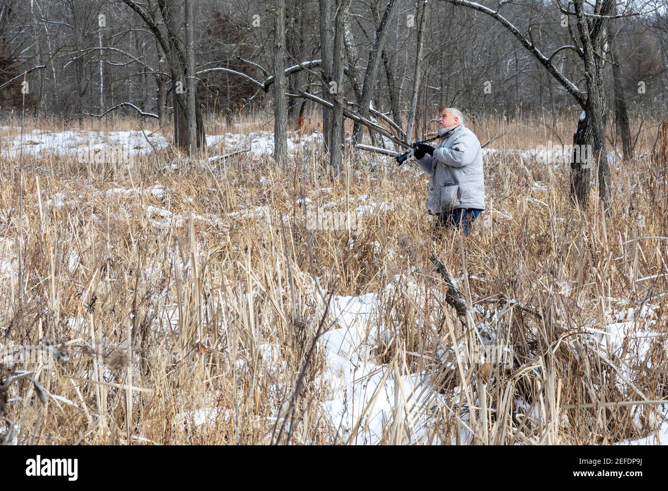 Milford, Michigan - UN photographe cherche l'endroit idéal pour photographier un faucon à queue rouge à Kensington Metropark. Banque D'Images