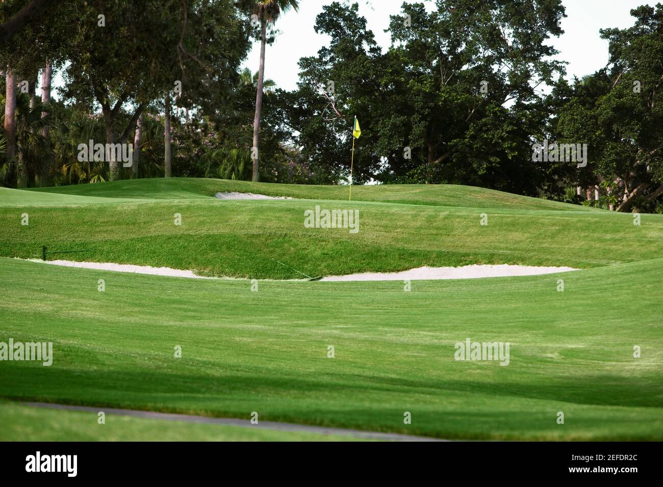 Drapeau de golf dans un parcours de golf Banque D'Images