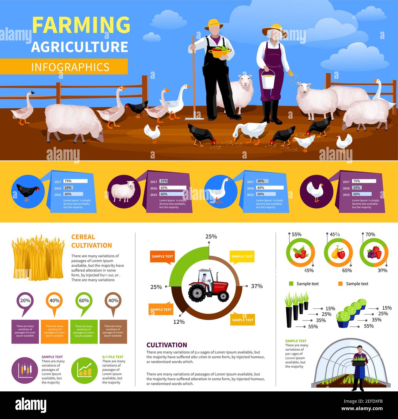 Infographies de l'agriculture à plat avec des informations et des cartes sur le bétail et la volaille, véhicule agricole, illustration de vecteur de culture de légumes Illustration de Vecteur