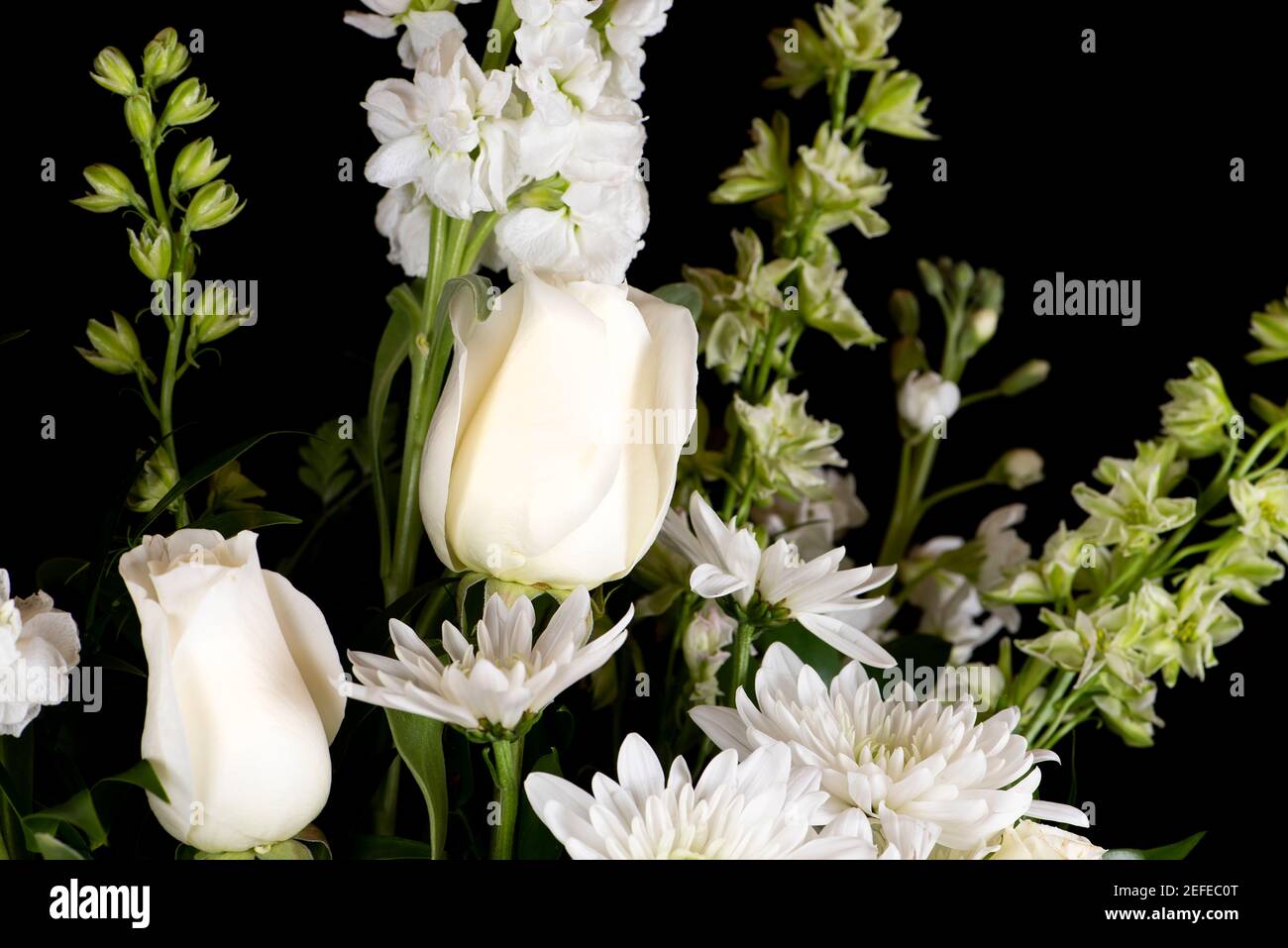 Beau bouquet d'une variété de fleurs blanches sur un arrière-plan noir Banque D'Images