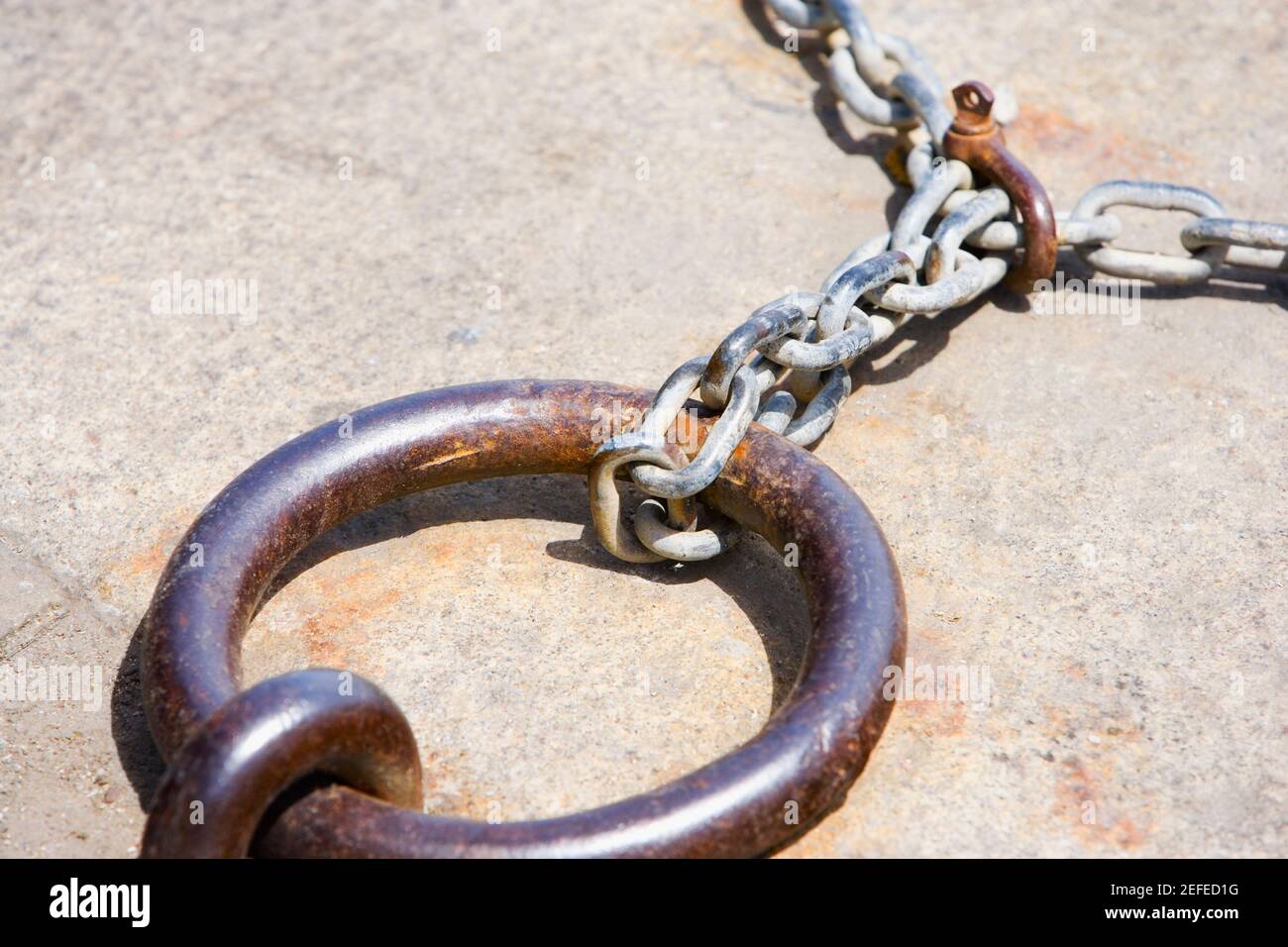 Gros sur un crochet avec une chaîne, Riviera italienne, Santa Margherita Ligure, Gênes, Ligurie, Italie Banque D'Images