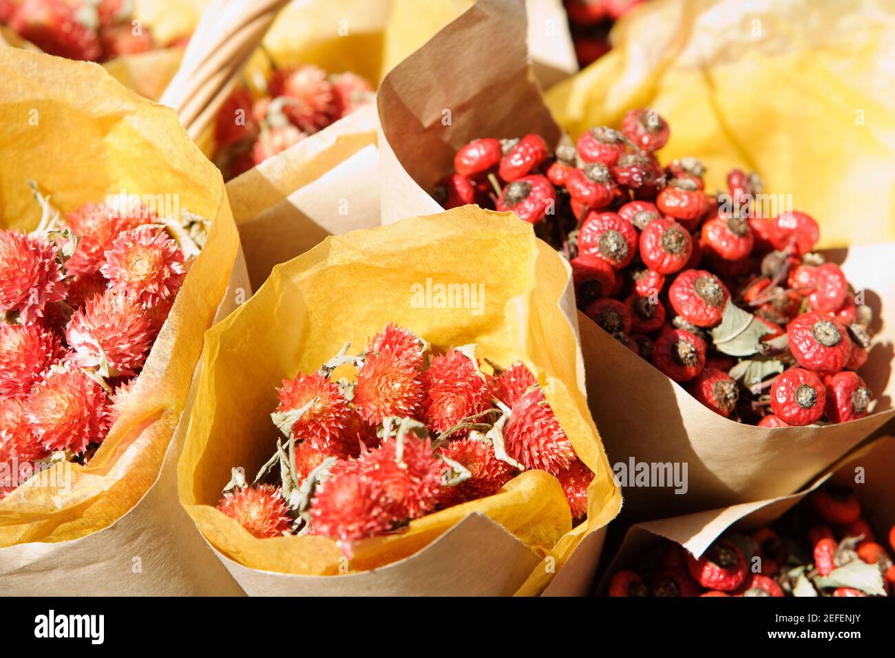 Vue en grand angle des fraises dans les cartons de fruits Banque D'Images