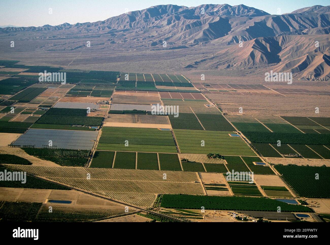 Agriculture désertique, Imperial Valley, Californie Banque D'Images